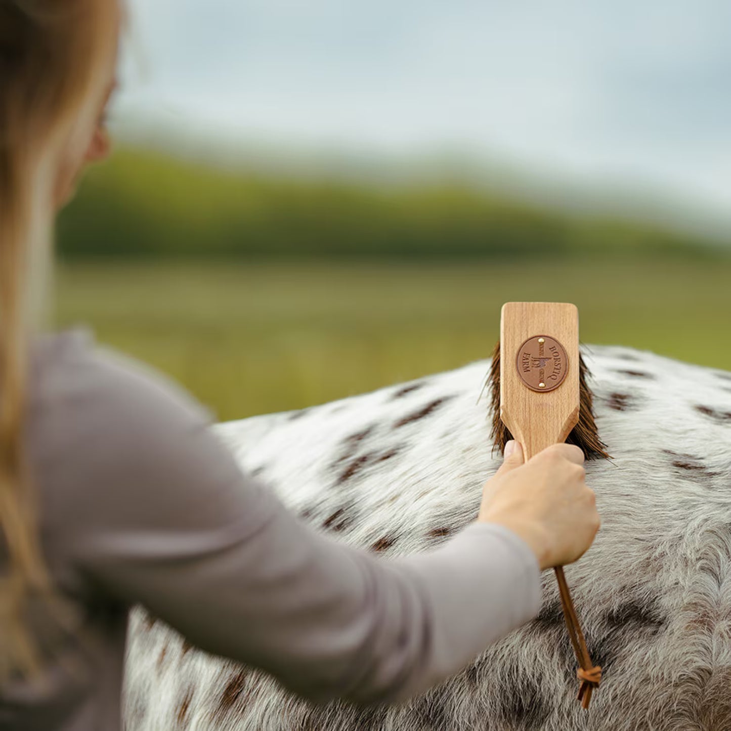 Borstiq Farm Islänningen Bassine