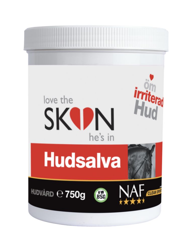 Hudsalva (skin salve)