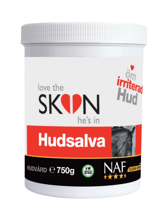 Hudsalva (skin salve)