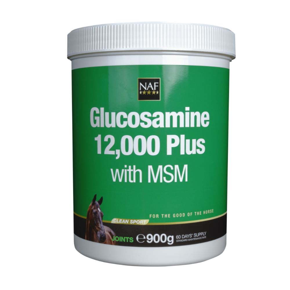 Glucosamine 12.000 Plus MSM