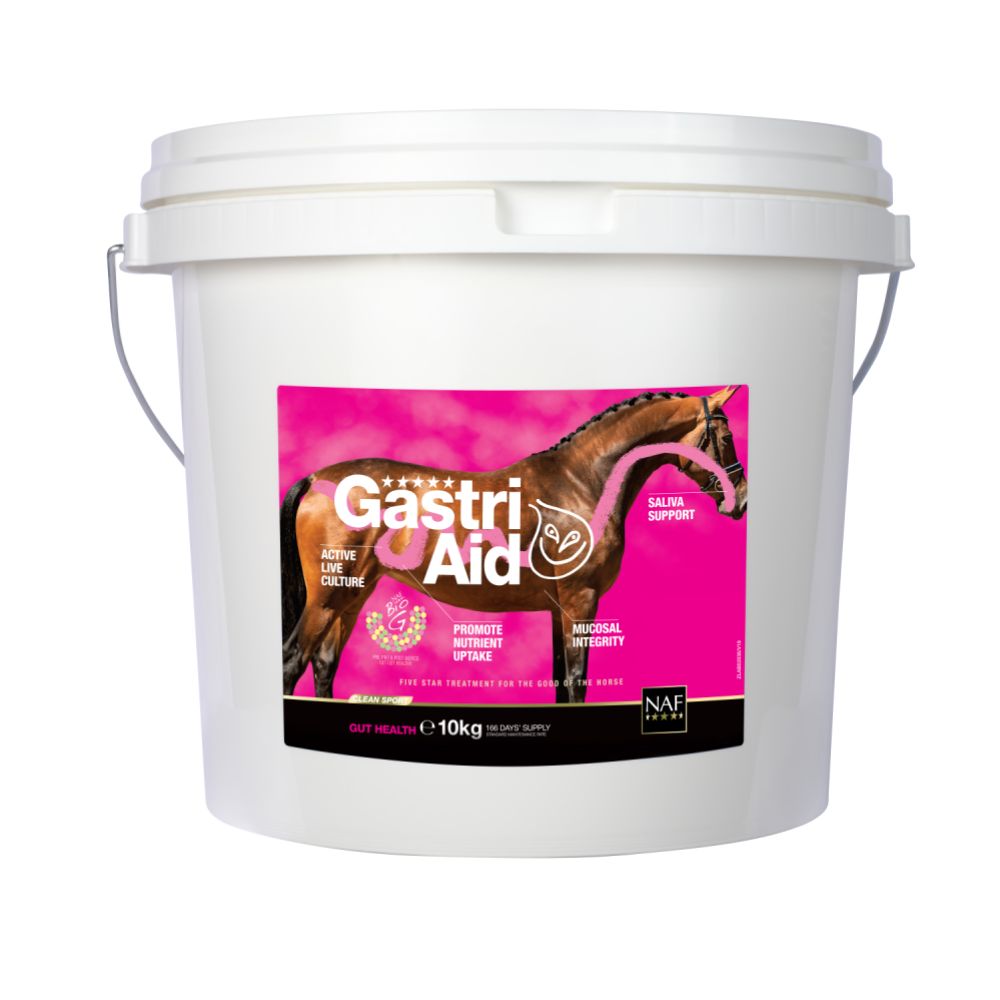 GastriAid, Pulver