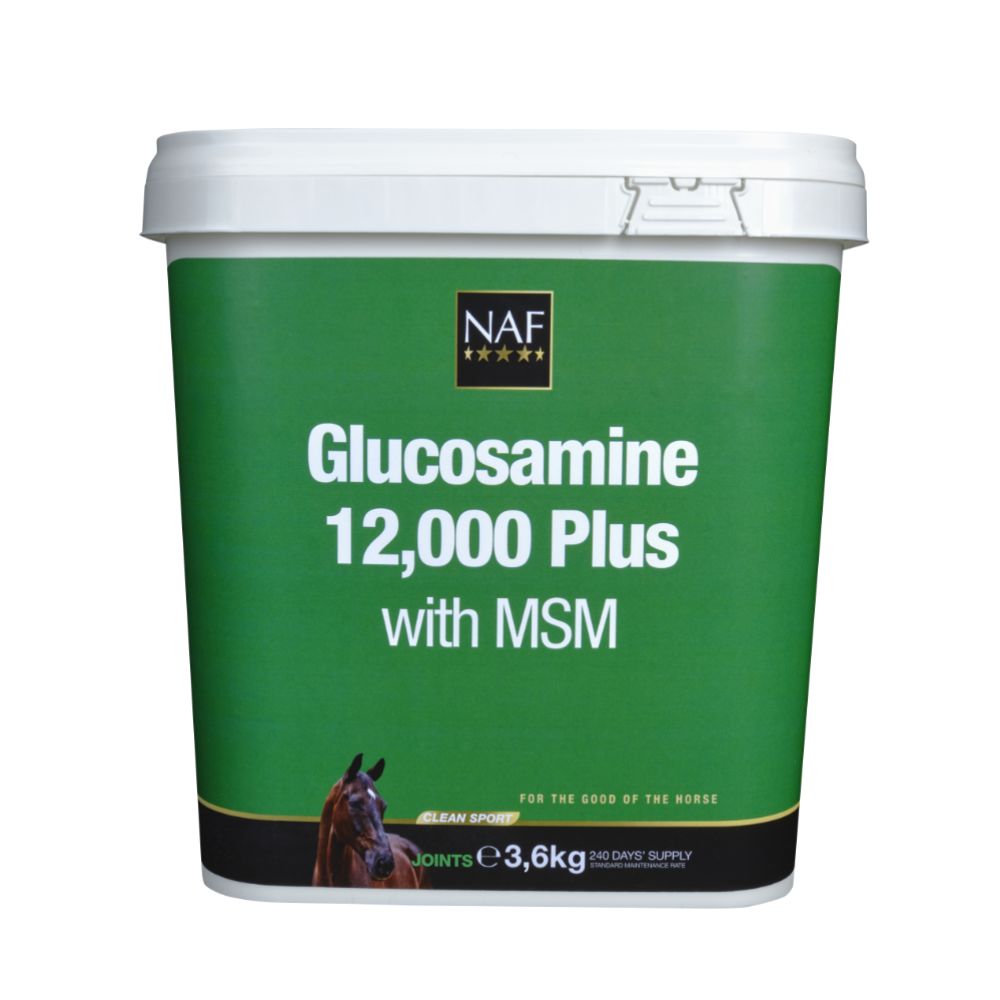 Glucosamine 12.000 Plus MSM