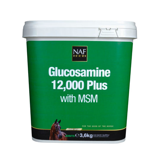 Glucosamine 12.000 Plus MSM