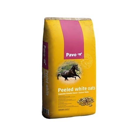 Pavo white oats (Havre)