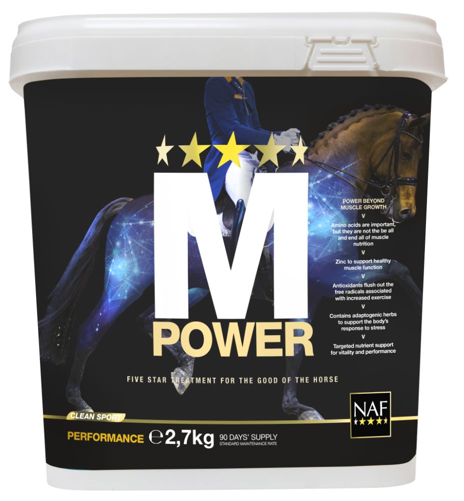 MPower, Pulver