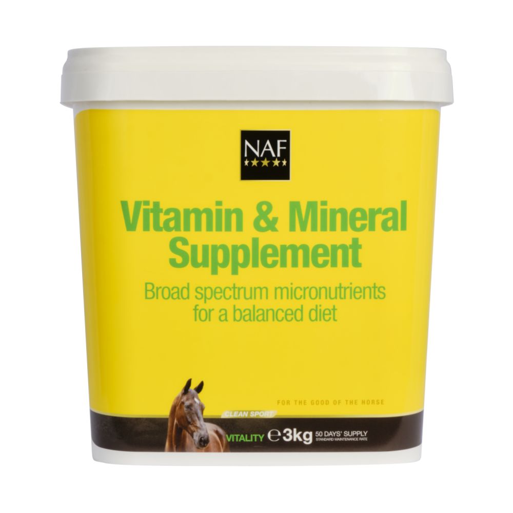 Vitamin & Mineral Bas, Pulver