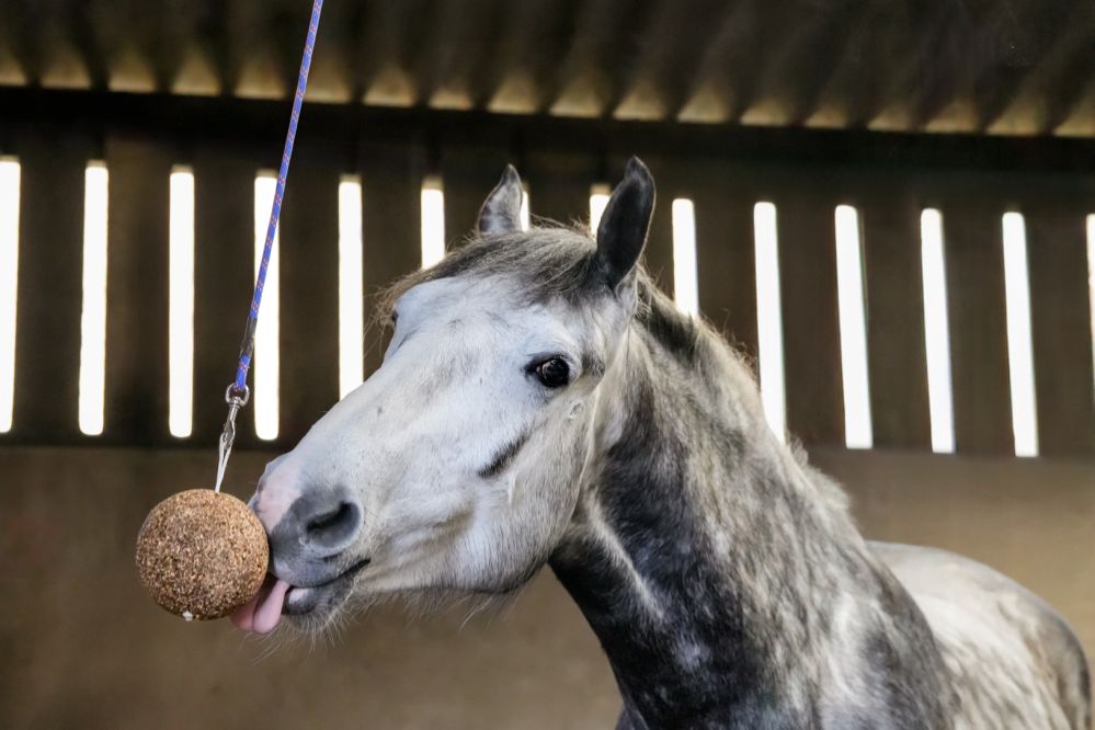 LIKIT GranoLo Stallboll 1,5kg