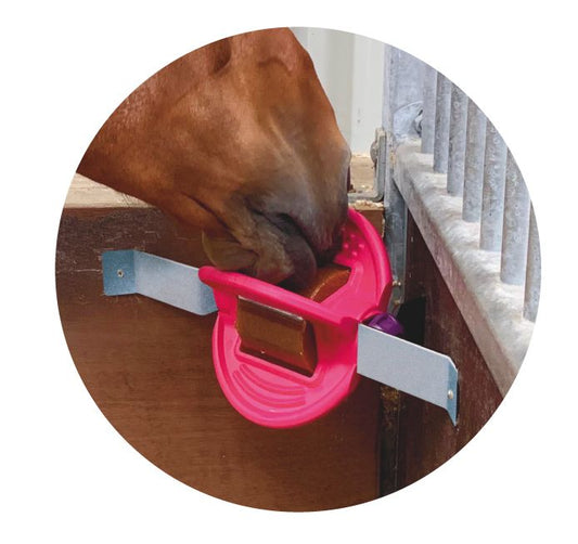 BIZZY WALL BRACKET