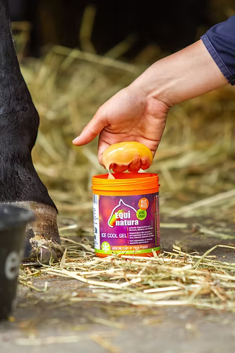 Equinatura Ice Cool Gel