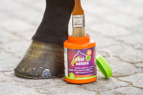 Equinatura Hoof Balm