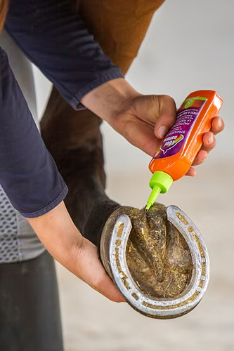Equinatura Frog & Sole Protect