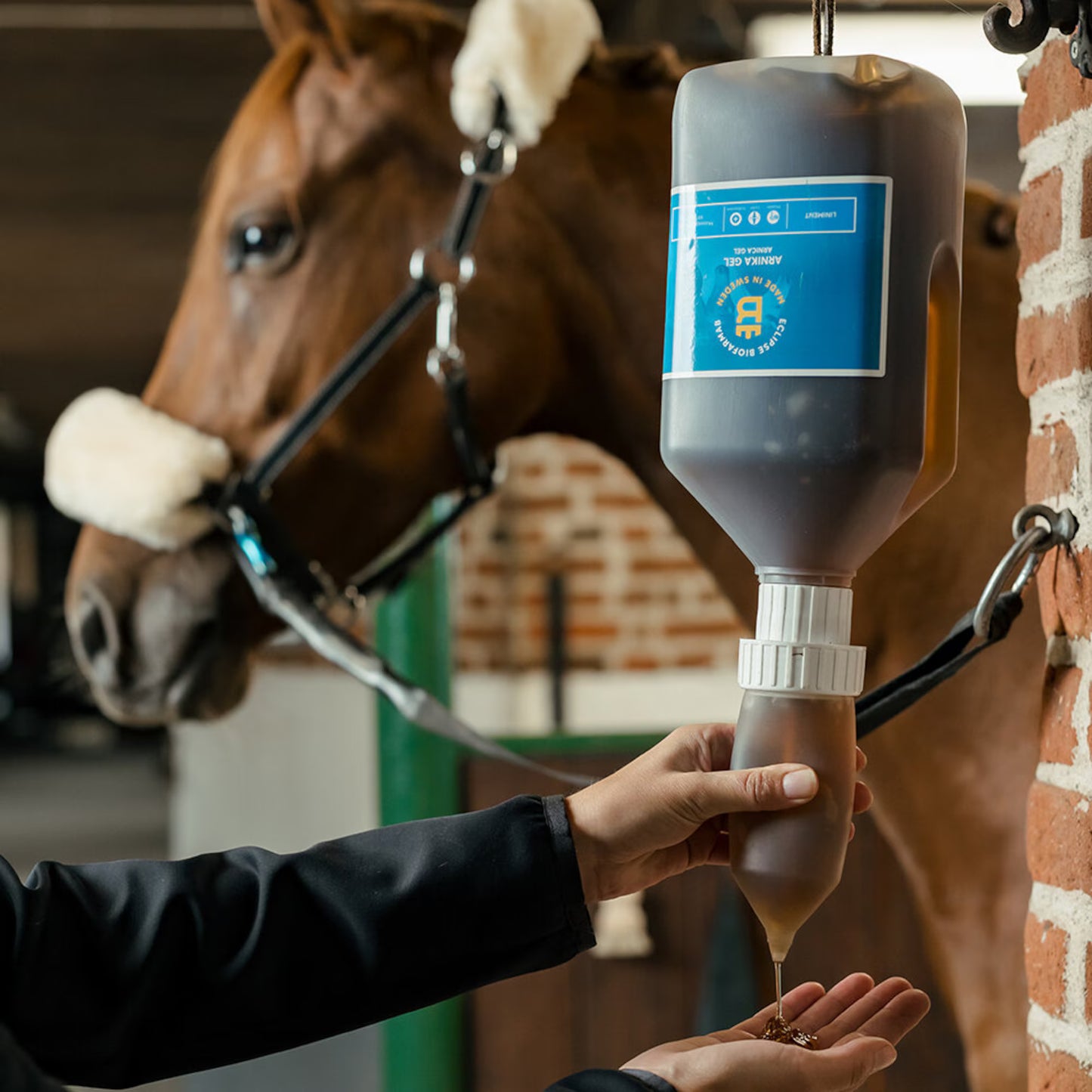 Eclipse Biofarmab Arnika Liniment Gel