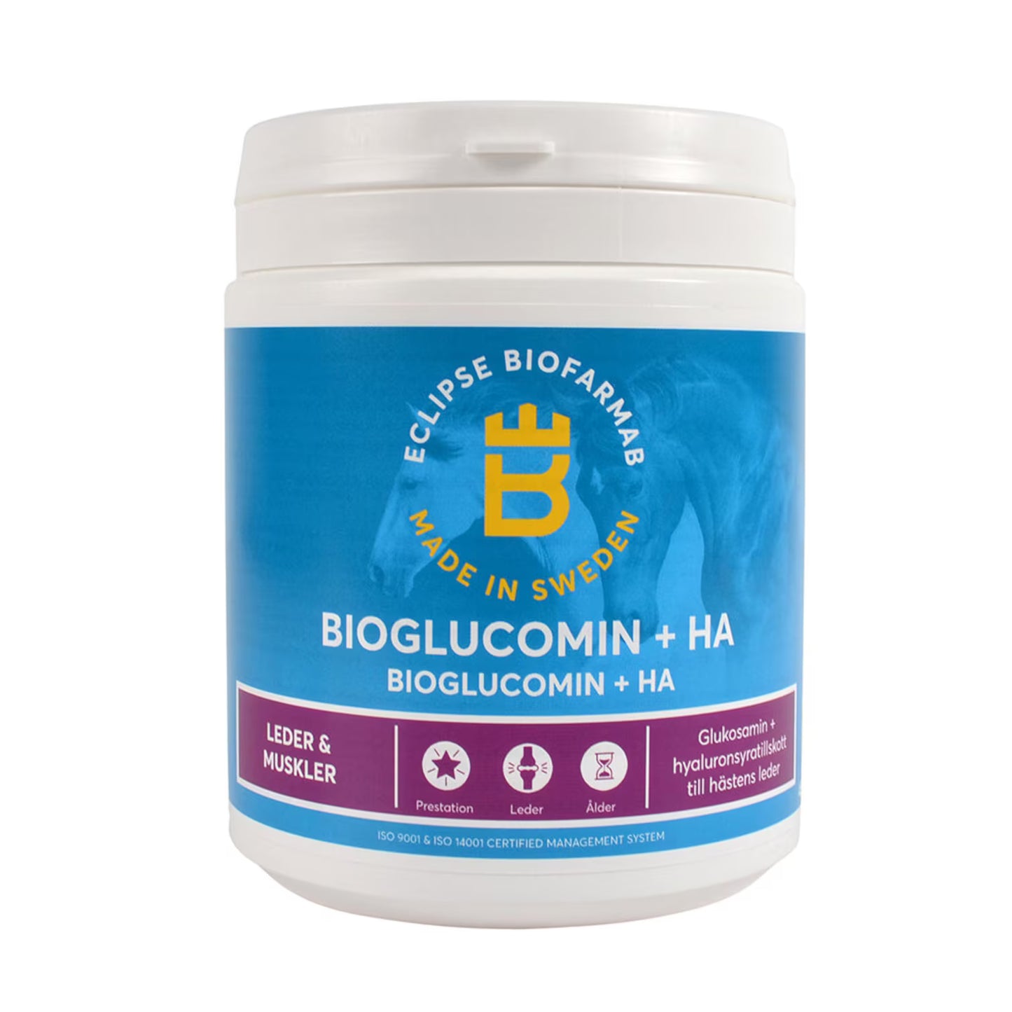 BioGlucomin + HA
