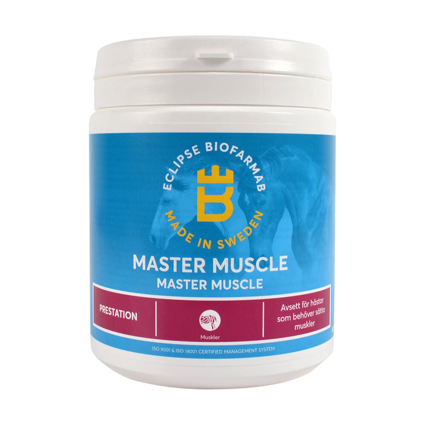 Master Muscle