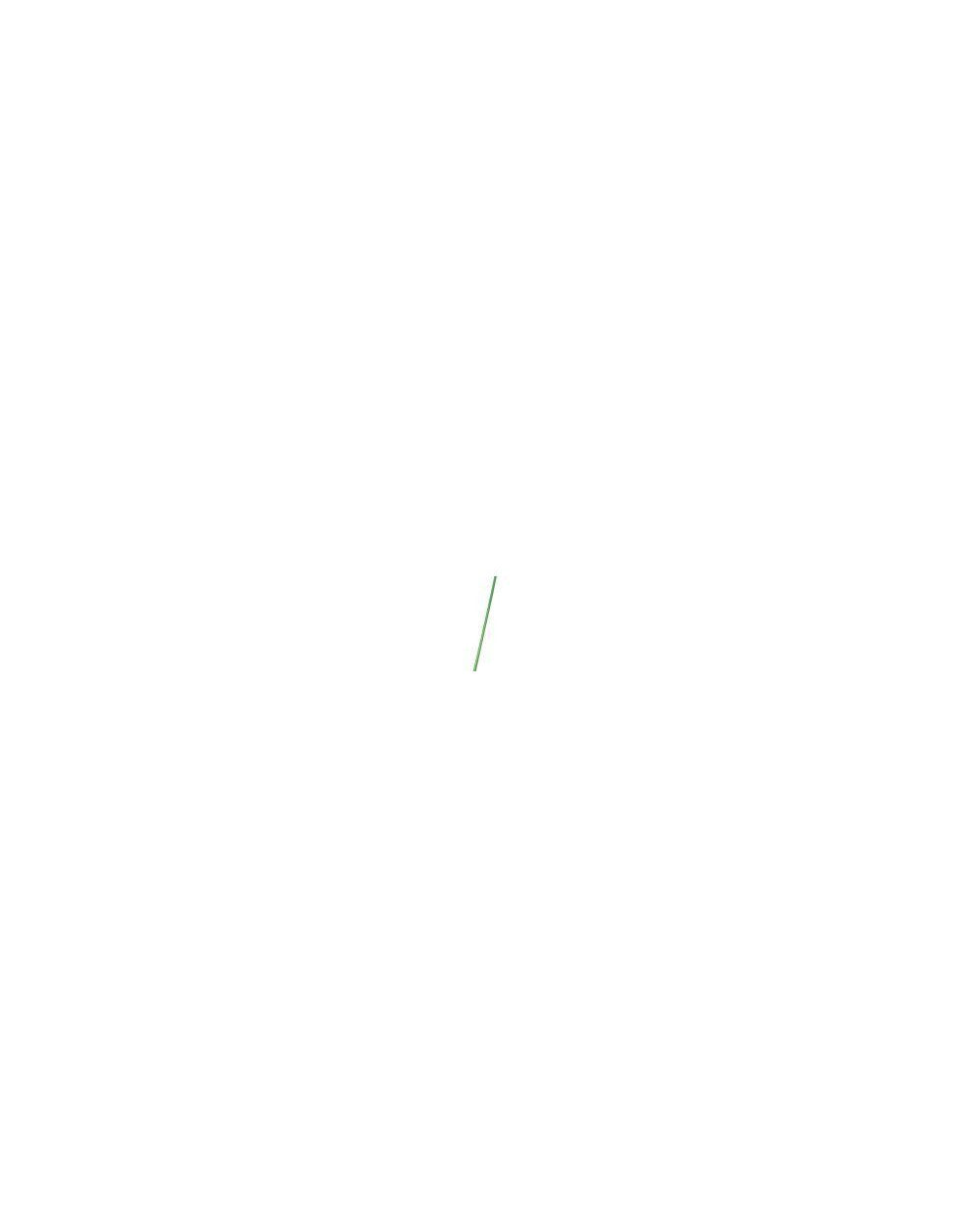Litter Stick Plastic