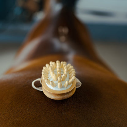 Borstiq Farm Massageborste