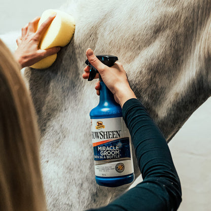 Absorbine Miracle Groom