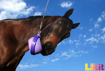 LIKIT Bordom Buster Lilac