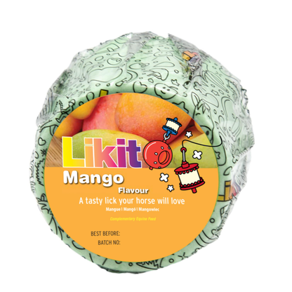 LIKIT Slicksten 650g (med hål)
