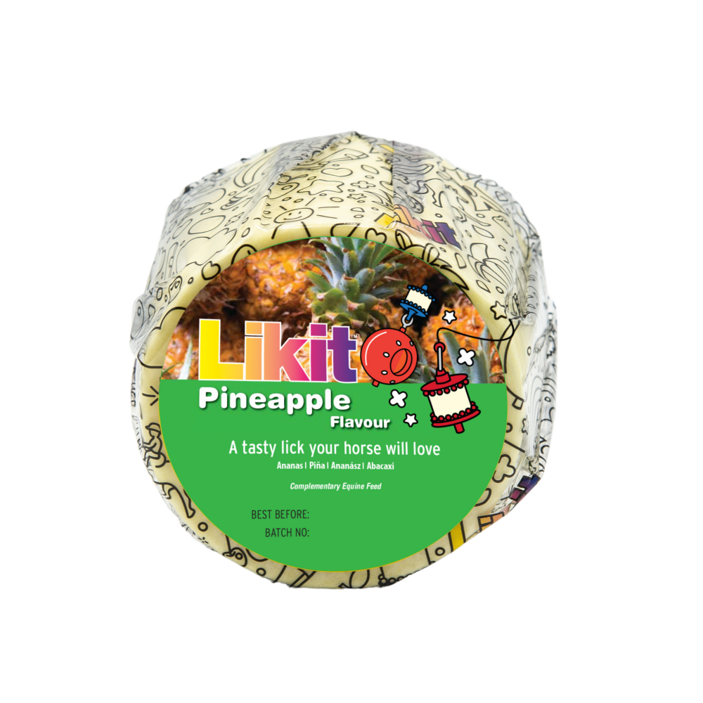 LIKIT Slicksten 650g (med hål)