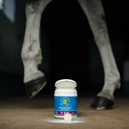 Jointbuilder 450 G