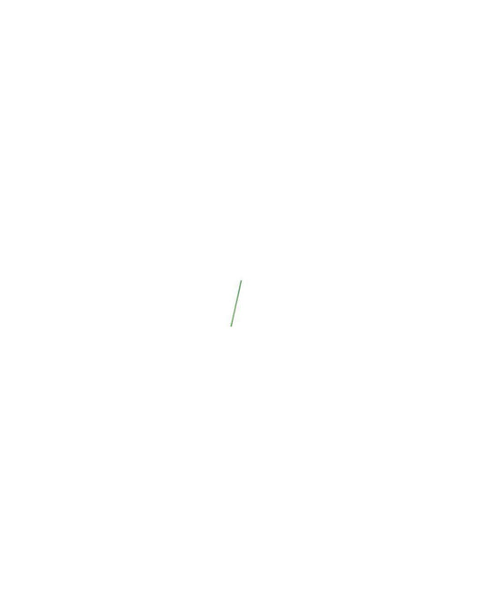 Litter Stick Plastic